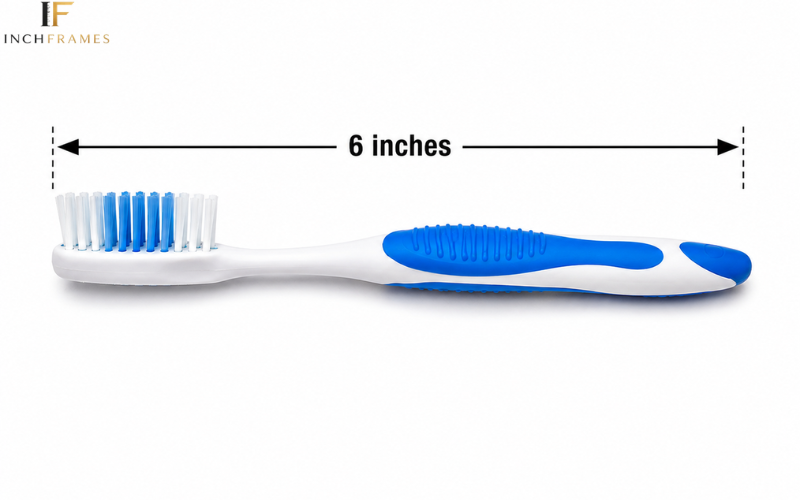 How Long Is 6 Inches