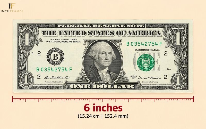 How Long Is 6 Inches