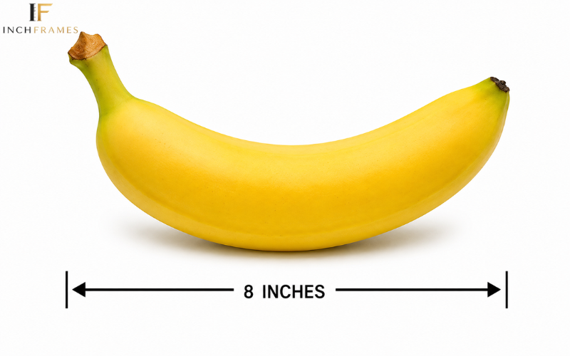 How Long Is 8 Inches