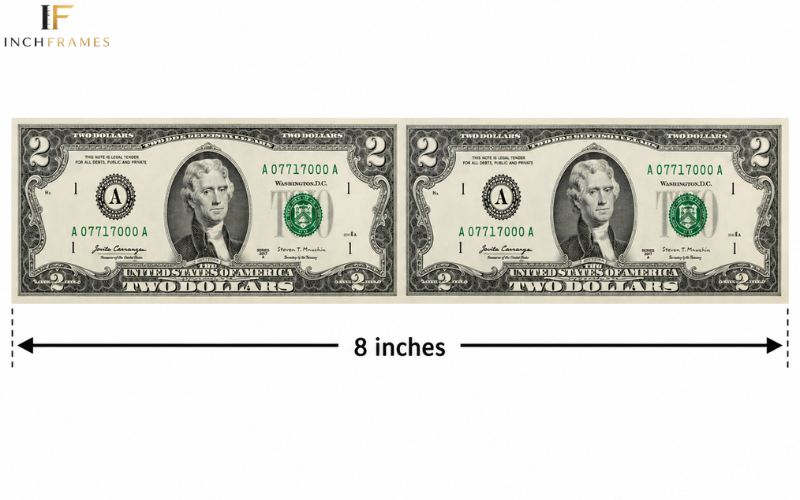 How Long Is 8 Inches