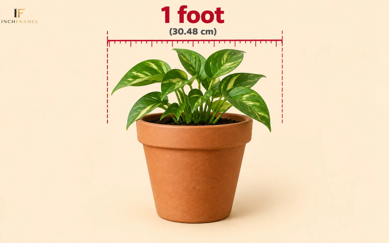 How Long Is 1 Foot