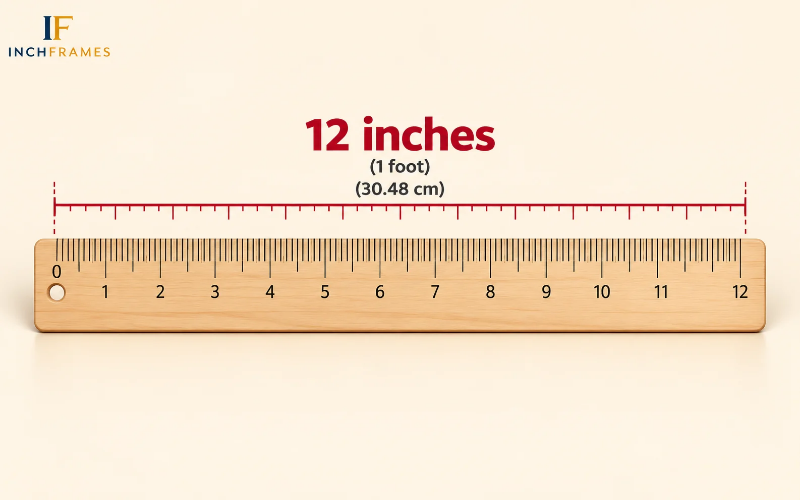 How Long Is 1 Foot