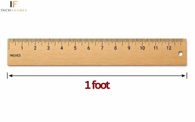 How Long Is 1 foot