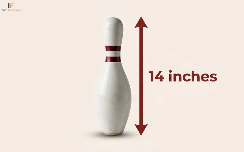 How Long Is 14 Inches