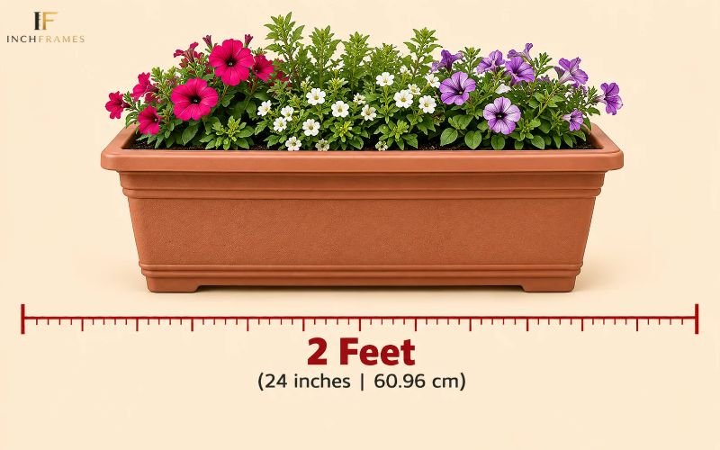 How Long Is 2 Feet