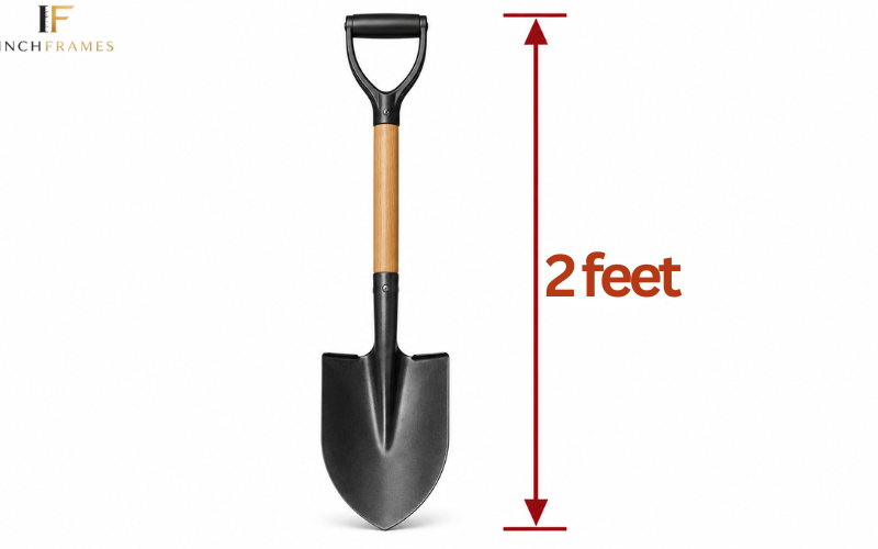 How Long Is 2 foot