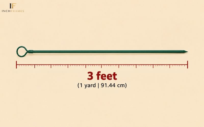 How Long Is 3 Feet