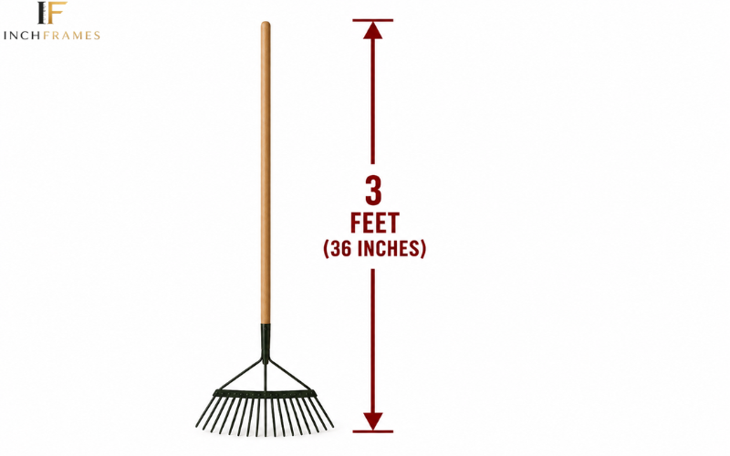 How Long Is 3 foot