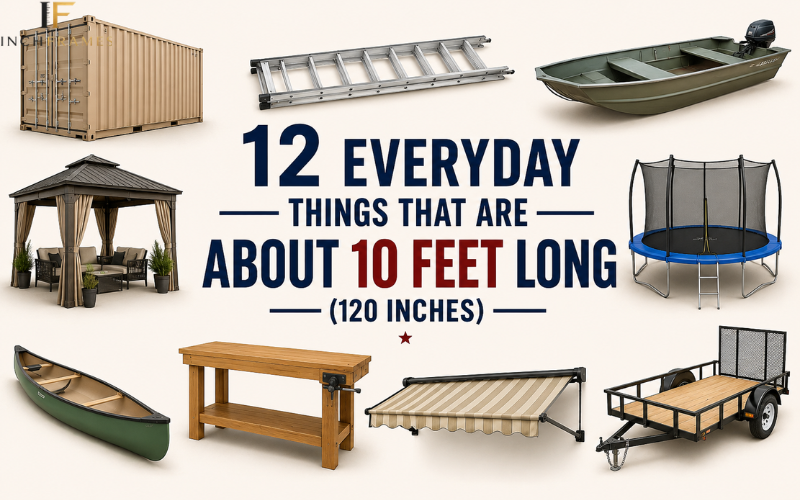 12 everyday things that are 10 feet long