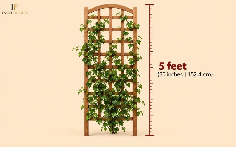 How Long Is 5 Feet
