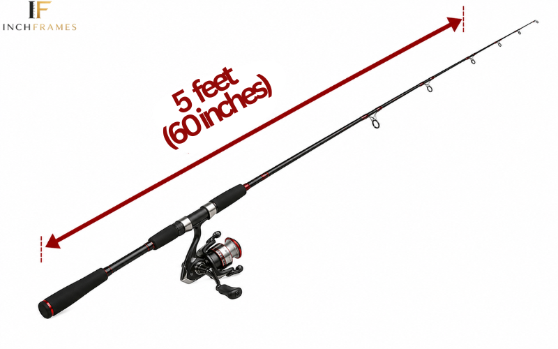 How Long Is 5 feet