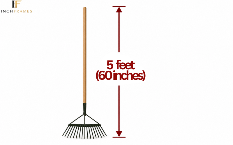 How Long Is 5 feet
