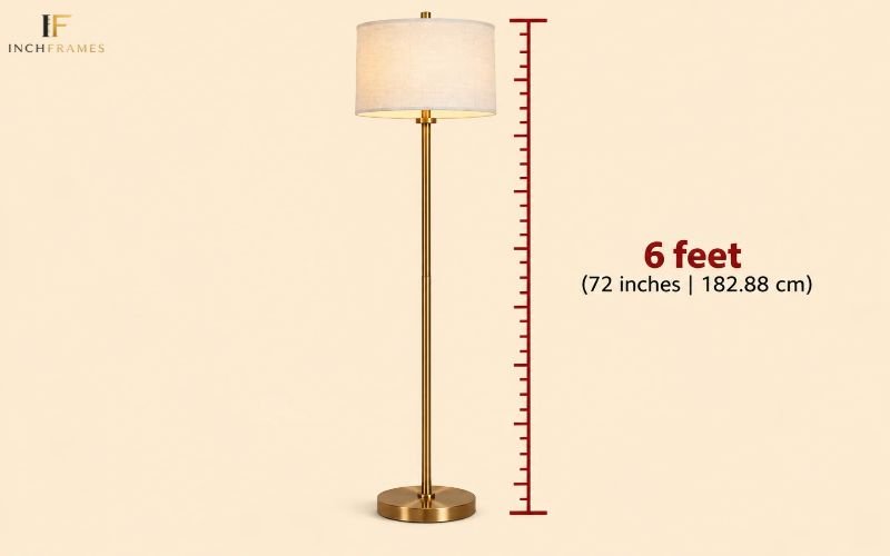 How Long Is 6 Feet