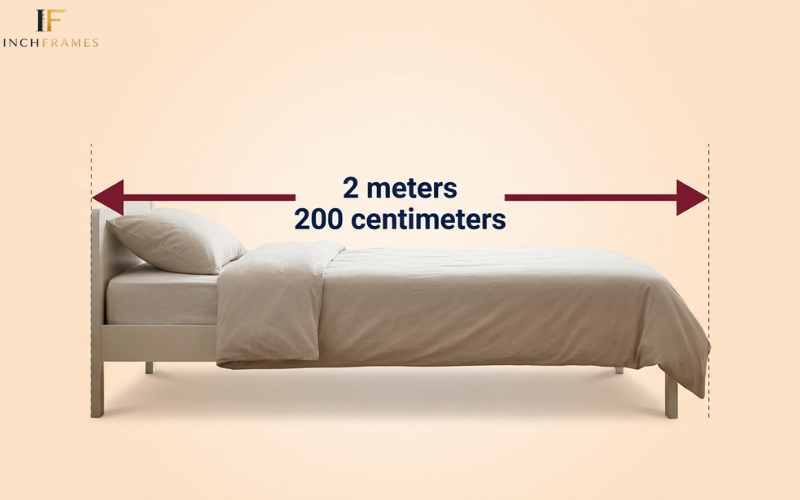 How Long Is 2 Meter