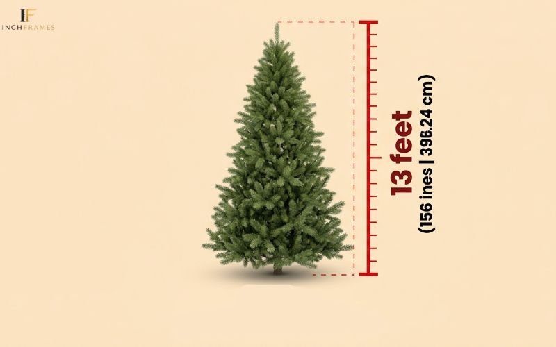 How long Is 13 Feet